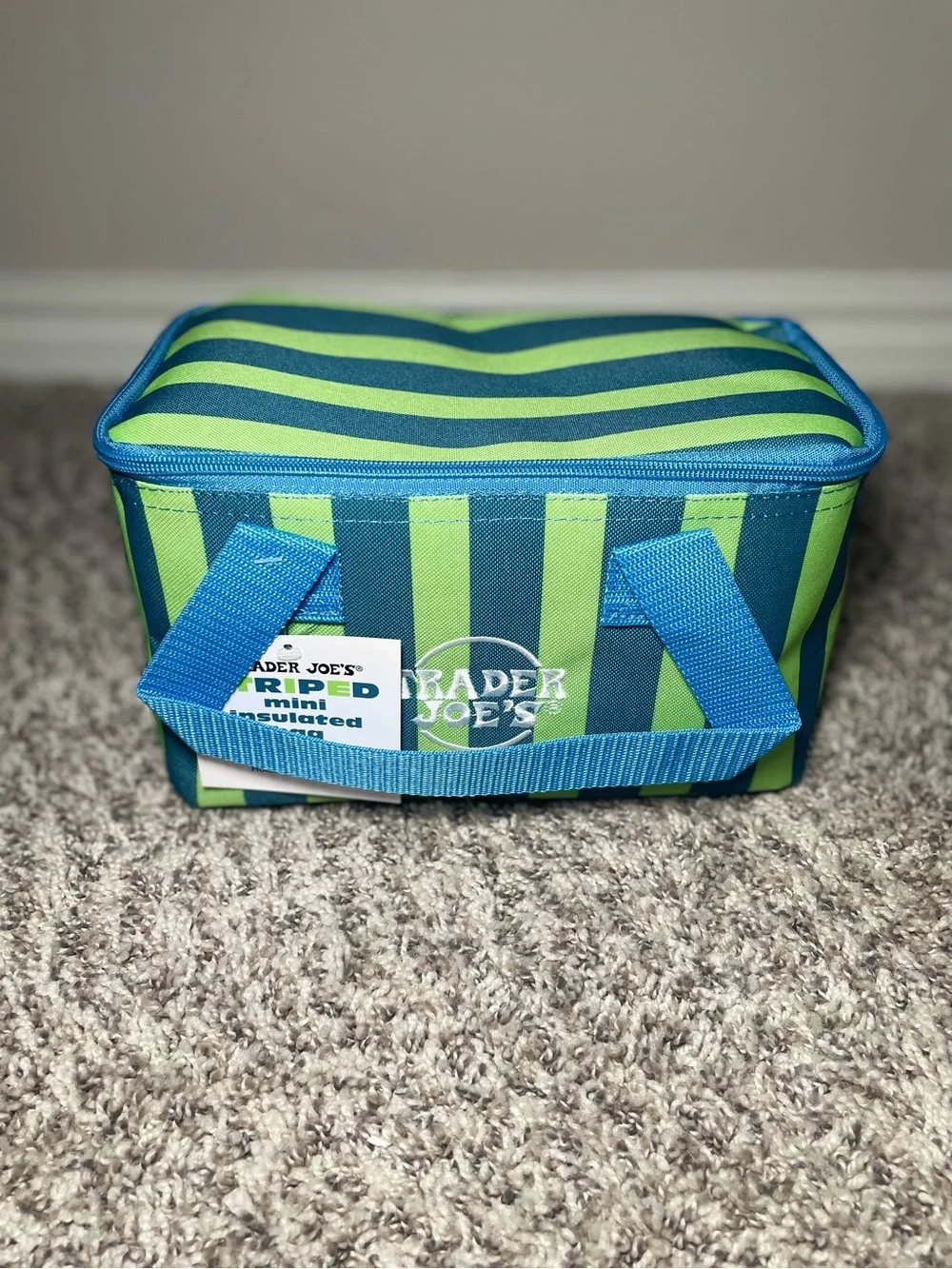 Trader Joe's 2026 Edition Mini Insulated Bag Lunch Bag Green & Gray-Blue Stripe